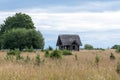 Abandoned, unfinished small log building with a thatched roof in an overgrown meadow