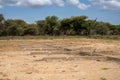 Abandoned and unkept parking lot for safari vehicles in Tarangire National Park in Tanzania