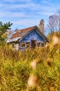 Abandoned urban building structure destroyed with overgrowth and field with green pine tree Royalty Free Stock Photo