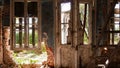 Abandoned Villa - Greece Royalty Free Stock Photo