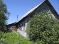 Abandoned village house with lilac bush Royalty Free Stock Photo