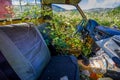 In the abandoned village of Peritheia on Corfu Island