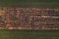 Abandoned vineyard from drone pov Royalty Free Stock Photo