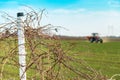 Abandoned vineyard Royalty Free Stock Photo