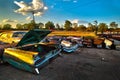 Abandoned Vintage Car Lot near Austin Texas