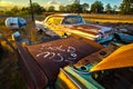 Abandoned Vintage Car Lot near Austin Texas