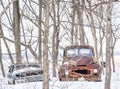 Abandoned Vintage Vehicles in Snowy Forest