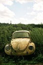 Abandoned VW beetle car