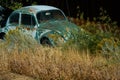 Abandoned VW Beetle