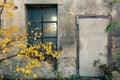 Abandoned warehouse entrance on concrete wall, facade with window and tree Royalty Free Stock Photo