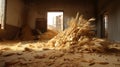 abandoned warehouse with wheat,grain on the floor spilling out of bags torn by rodents,food storage violation, Royalty Free Stock Photo