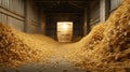 abandoned warehouse with wheat,grain on the floor spilling out of bags torn by rodents,food storage violation, Royalty Free Stock Photo