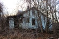 Abandoned old wooden farmhouse cabin overgrown with trees and vines Royalty Free Stock Photo