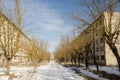 Abandoned white brick multistorey houses and overgrown tree alley. Forgotten, abandoned ghost town Skrunda, Latvia. Former Soviet