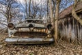 abandoned white ford in forest