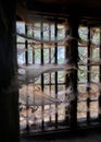 Abandoned window containing numerous webs hanging from the frame Royalty Free Stock Photo