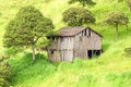 Abandoned Wood House