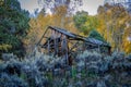 Abandoned Wood Shack Ruins