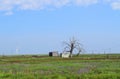 Abandoned wood shack and storm cellar in rural Texas Panhandle