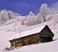 Abandoned wooden cottage in wintry view Royalty Free Stock Photo