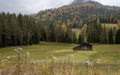 Abandoned wooden farm house in the farmland surrounded by forest trees in autumn