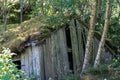 Abandoned wooden farm house with grass roof in the woods Royalty Free Stock Photo