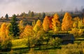 Abandoned wooden house in autumn forest Royalty Free Stock Photo