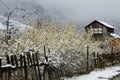 Abandoned wooden house with old broken fence in winter, Armenia Royalty Free Stock Photo