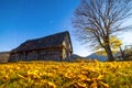 Abandoned wooden house surrounded by bare trees in highland Royalty Free Stock Photo