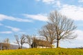 Abandoned wooden house surrounded by bare trees in highland Royalty Free Stock Photo