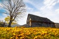 Abandoned wooden house surrounded by bare trees in highland Royalty Free Stock Photo