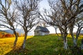 Abandoned wooden house surrounded by bare trees in highland Royalty Free Stock Photo