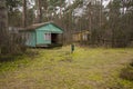 Abandoned wooden mobile homes in a forgotten, abandoned holiday resort on an autumn day. Mess