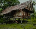 An abandoned wooden old house, desolation and ruin, an old village house among the trees In fores