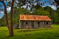 an abandoned wooden pioneer home in Bournda National Park, New South Wales, Australia