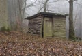 Old shed in the woods Royalty Free Stock Photo
