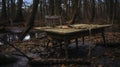 Abandoned Wooden Table And Chair In The Swamp