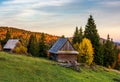 Abandoned woodshed in forest