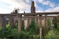 abandoned wrecked house in the field overgrown with green ivy and plants Royalty Free Stock Photo