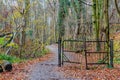 Abandoned wrought iron black gate in the forest next to a path between bare autumn trees Royalty Free Stock Photo