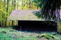 Abandonned hut in the forest near Nussloch