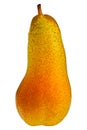 Abate Pear Royalty Free Stock Photo