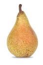 âAbate\' pear Royalty Free Stock Photo