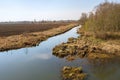 Abava river in Latvia. Royalty Free Stock Photo