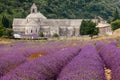 Abbaye de Senanque in Provence, France Royalty Free Stock Photo