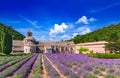 Abbaye de Senanque, Provence lavender in France