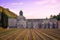 Abbaye de Senanque in Provence before sunset Royalty Free Stock Photo