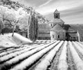 Abbaye de Senanque Royalty Free Stock Photo