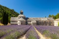 Abbaye de SÃÂ©nanque with blooming lavender field