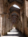 Abbazia San Galgano Abbey Gothic Ruin Side Aisle